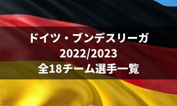 サッカー ブンデスリーガ 22 23 全18チーム選手一覧